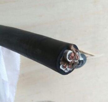 DJYPVP計算機電纜3*2*1.5